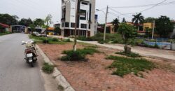 Chính chủ cần bán mảnh đất đẹp tại đấu giá X1 thôn Mai Hiên, Mai Lâm, Đông Anh