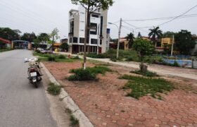 Chính chủ cần bán mảnh đất đẹp tại đấu giá X1 thôn Mai Hiên, Mai Lâm, Đông Anh