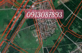 Thanh khoản gấp lô 2 mặt tiền 60m Lộc Hà, Mai Lâm, Đông Anh.