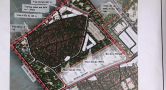 Chính chủ cần bán lô 19 đấu giá điểm X1 Lê Xá, Mai Lâm, Đông Anh