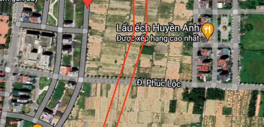 Chính chủ cần bán thửa đất mặt N2 đấu giá vườn đào Phúc Lộc, Đông Anh, Hà Nội
