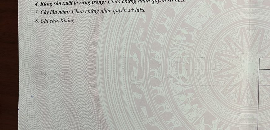 Chính chủ em cần bán 50m2 đất ở tại Trung Thôn, Đông Hội, Đông Anh, Hà Nội