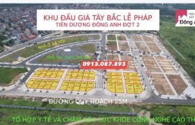 Bán nhanh đấu giá Tây Bắc Lễ Pháp, Tiên Dương, Đông Anh mặt đường 25m chạy thẳng ra Ql3
