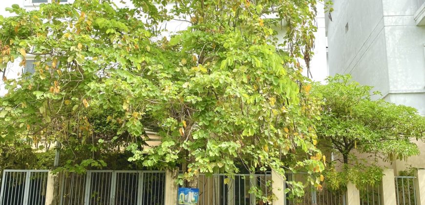 Bán biệt thự song lập căn Lotus tại Đông Trù, Đông Hội, Đông Anh