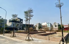 Bán 75m đất Khu đấu giá X2 , thôn khê Nữ, xã Nguyên Khê, huyện Đông Anh, Hà Nội