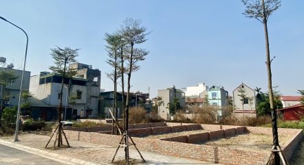 Bán 75m đất Khu đấu giá X2 , thôn khê Nữ, xã Nguyên Khê, huyện Đông Anh, Hà Nội