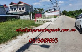 Chuyển nhượng đất đấu giá x3 Lương Nỗ, Tiên Dương, Đông Anh siêu phẩm bìa làng