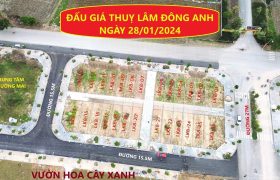 Chuyển nhượng lô đấu giá áp góc xẻ khe đất đấu giá mặt đường liên xã Thuỵ Lâm, Đông Anh
