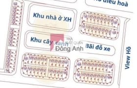 CHUYỂN NHƯỢNG LÔ GÓC ĐẤU GIÁ X6 HÀ LỖ, LIÊN HÀ, ĐÔNG ANH