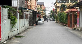 Chính chủ cần bán 85m trục chính thôn Đông Trù, Đông Hội, Đông Anh đường ô tô