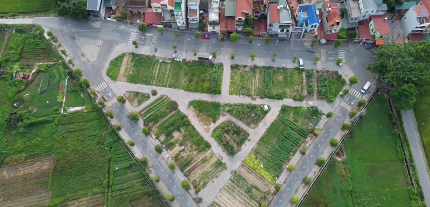 Đấu giá X2 Thái Bình, Mai Lâm, Đông Anh gần Vinhomes Cổ Loa