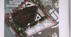 Đấu giá X2 Thái Bình, Mai Lâm, Đông Anh gần Vinhomes Cổ Loa