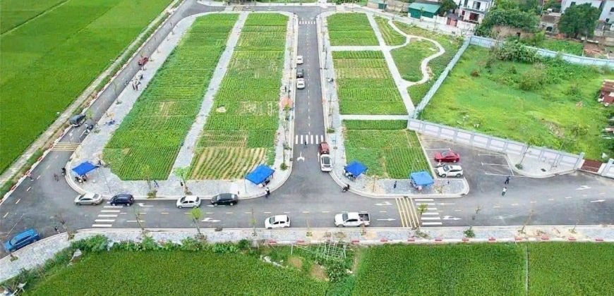 Chuyển nhượng Lô Góc đấu giá X8 Hà Phong, Liên Hà, Đông Anh