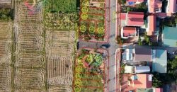 Lô góc mặt đường 40m đấu giá X9 Cán Khê, Nguyên Khê, Quận Đông Anh