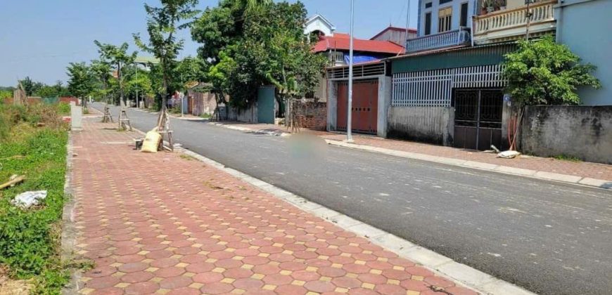 Lô góc mặt đường 40m đấu giá X9 Cán Khê, Nguyên Khê, Quận Đông Anh