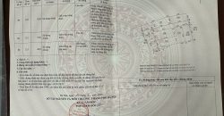 Chuyển nhượng 40m Thái Bình, Mai Lâm, Đông Anh cách đường ô tô tránh vài bước chân