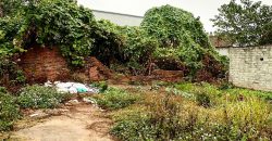 Chuyển nhượng 40m Thái Bình, Mai Lâm, Đông Anh cách đường ô tô tránh vài bước chân