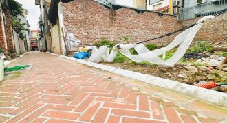 Chuyển nhượng 50.8m thổ cư làng văn hoá Lại Đà, Đông Hội, Đông Anh chân cầu Tứ Liên tương lai