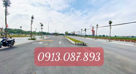 Chuyển nhượng lô góc xẻ khe Tái Định Cư Mai Hiên, Mai Lâm, Đông Anh mặt đường 30m hướng Tây