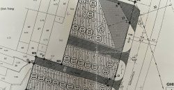 Đất Đấu Giá Đình Tràng – Dục Tú – Đông Anh 2 mặt đường trước và