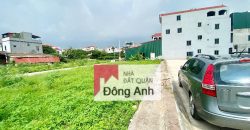 Đất Đấu Giá Đình Tràng – Dục Tú – Đông Anh 2 mặt đường trước và