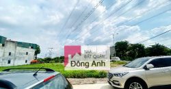 Đất Đấu Giá Đình Tràng – Dục Tú – Đông Anh 2 mặt đường trước và