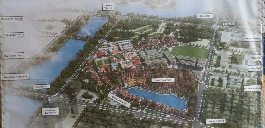 Bán 192m2 mặt tiền 11,15m tại Thôn Trung thôn, Xã Đông hội ( Trục bìa kinh doanh)