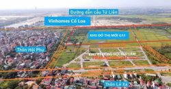 Bán đất X1 Đông Hội, Mai Lâm Đông Anh gần Vinhomes Cổ Loa cạnh đường quy hoạch 40m