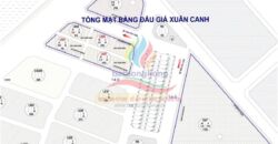 🔥 ĐẤU GIÁ XUÂN TRẠCH – ĐÔNG ANH – HÀ NỘI 🔥