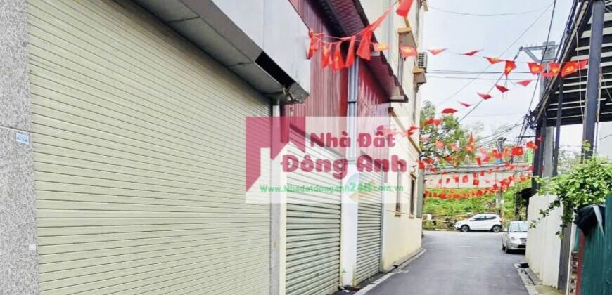 Chuyển nhượng 73m thổ cư làng văn hoá Lại Đà,Đông Hội,Đông Anh chân cầu Tứ Liên tương lai.