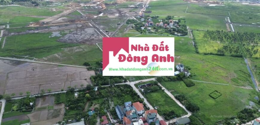 🔥 ĐẤU GIÁ XUÂN TRẠCH – ĐÔNG ANH – HÀ NỘI 🔥