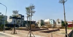 Bán 75m đất Khu đấu giá X2 , thôn khê Nữ, xã Nguyên Khê, huyện Đông Anh, Hà Nội