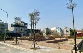 Bán 75m đất Khu đấu giá X2 , thôn khê Nữ, xã Nguyên Khê, huyện Đông Anh, Hà Nội
