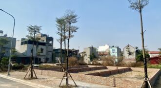 Bán 75m đất Khu đấu giá X2 , thôn khê Nữ, xã Nguyên Khê, huyện Đông Anh, Hà Nội