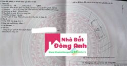 Chuyển nhượng Lô Góc đấu giá X2 Thái Bình,Mai Lâm,Đông Anh.