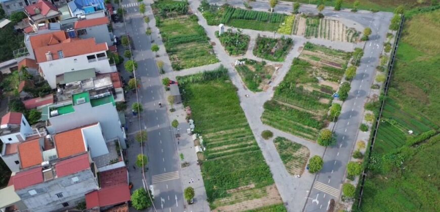 Chuyển nhượng Lô Góc đấu giá X2 Thái Bình,Mai Lâm,Đông Anh.