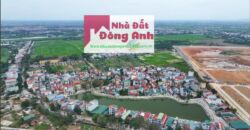 🚨 HIẾM – ĐẤT TRUNG THÔN SÁT VÁCH VIN CỔ LOA – ĐÓN SÓNG SIÊU DỰ ÁN 🚨